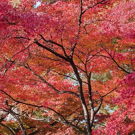 Apartamento Small Paris *