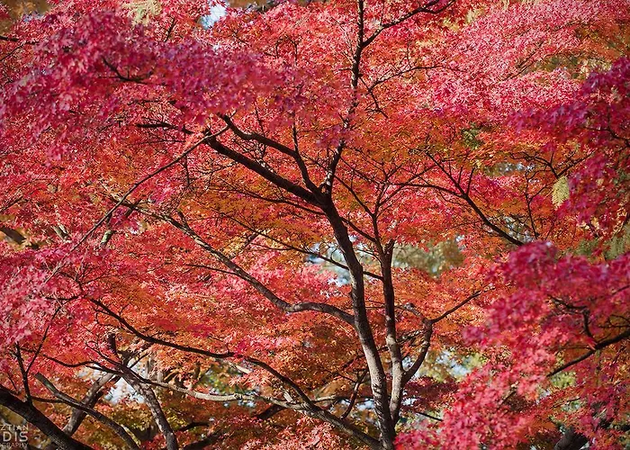 Apartament Small Paris *